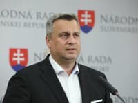 Andrej Danko odmieta, že by SNS chcela ovládnuť fungovanie Audiovizuálneho fondu