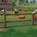 Preview: Farm Manager World