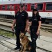 V železničnom sektore zistila polícia v rámci dvojdňovej akcie porušenia zákona
