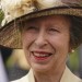 Princess Anne returns home from hospital after suffering concussion in horse 'incident'