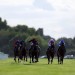 Today on Sky Sports Racing: Flat stars at Windsor including Buick and Murphy