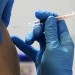 Európska komisia schválila prvú vakcínu proti ochoreniu chikungunya
