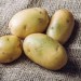 Zlá správa pre zákazníkov: Pripravte si peňaženky, za zemiaky zaplatíte nemalú sumu! Pestovatelia vysvetlili dôvody