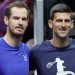 Murray to coach Djokovic at Australian Open